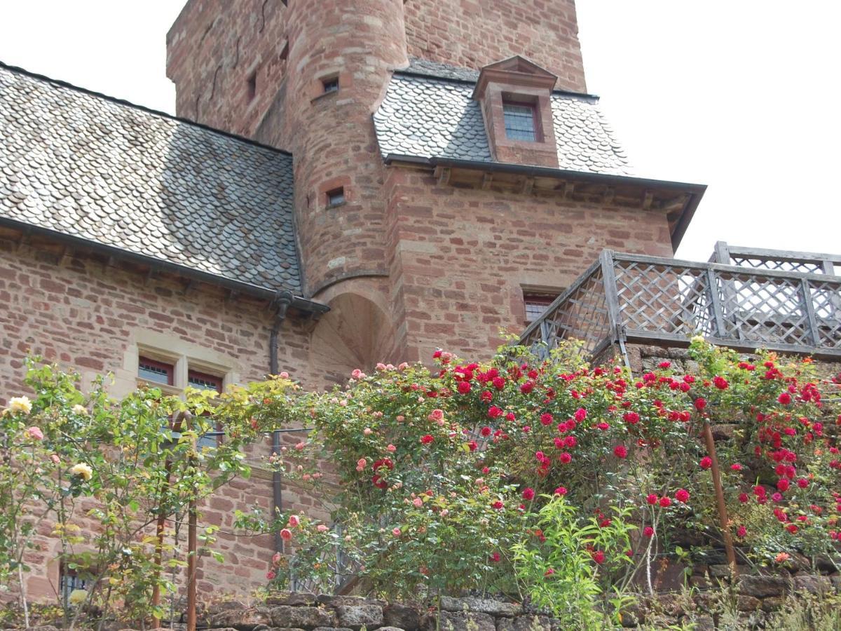 Chateau La Servayrie - Chambre D'Hotes Marcillac-Vallon Buitenkant foto